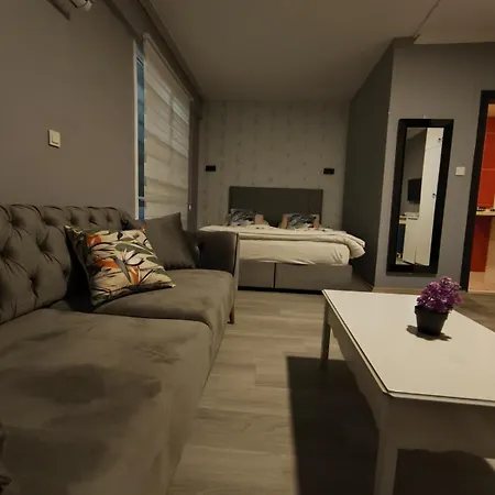 Akman 2*